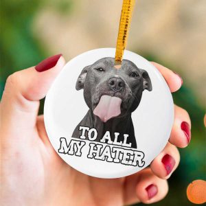 To All My Hater Pitbull Dog Lover Ceramic Ornament